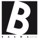 Bakwa Magazine