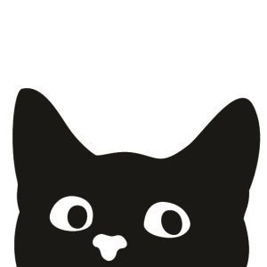 Une bataille aux crachats