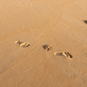 La Mémoire de l’Océan